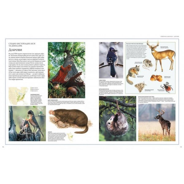 Ілюстрований атлас. Світ тварин