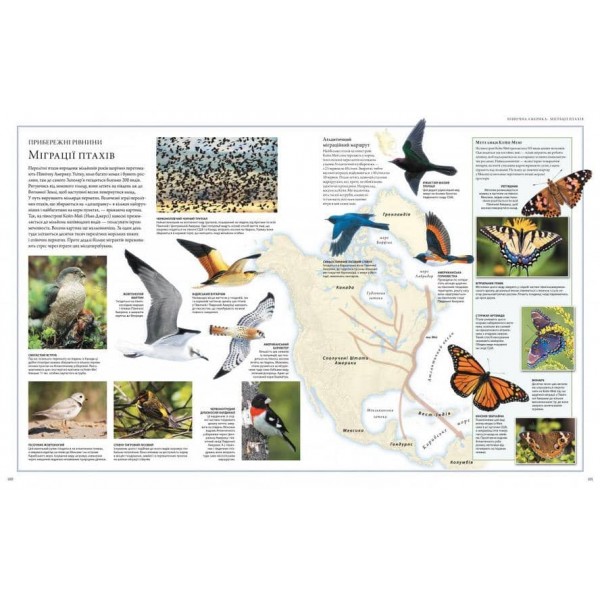 Ілюстрований атлас. Світ тварин