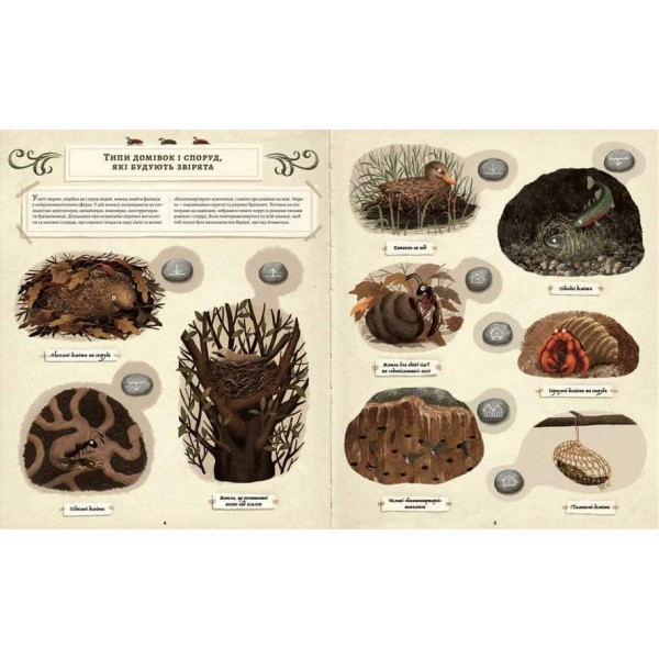 Що будують звірята?