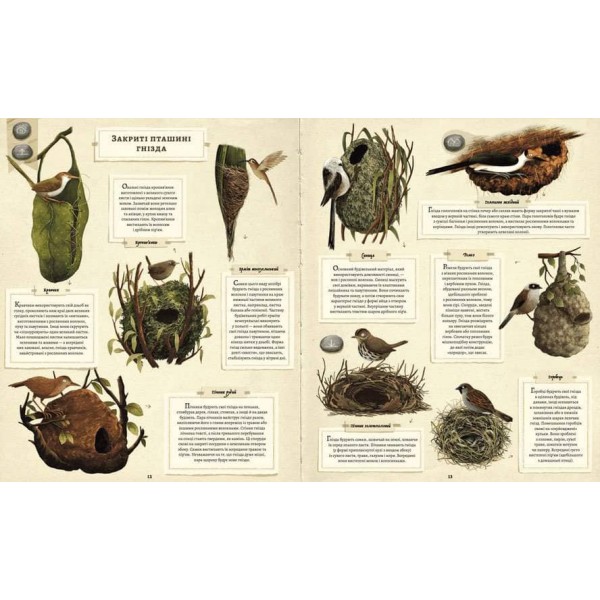 Що будують звірята?