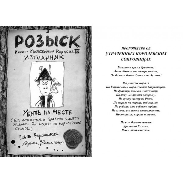 Як приборкати дракона. Книга 10. Як відшукати Драконячий Камінь
