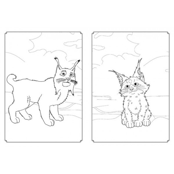 Мавка. Магія кольору. Магічний Ліс (на украинском языке)