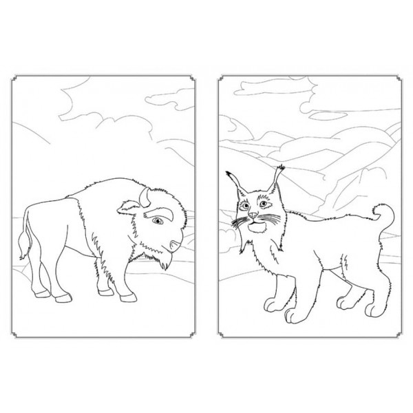 Мавка. Магія кольору. Мавчині пригоди (на украинском языке)