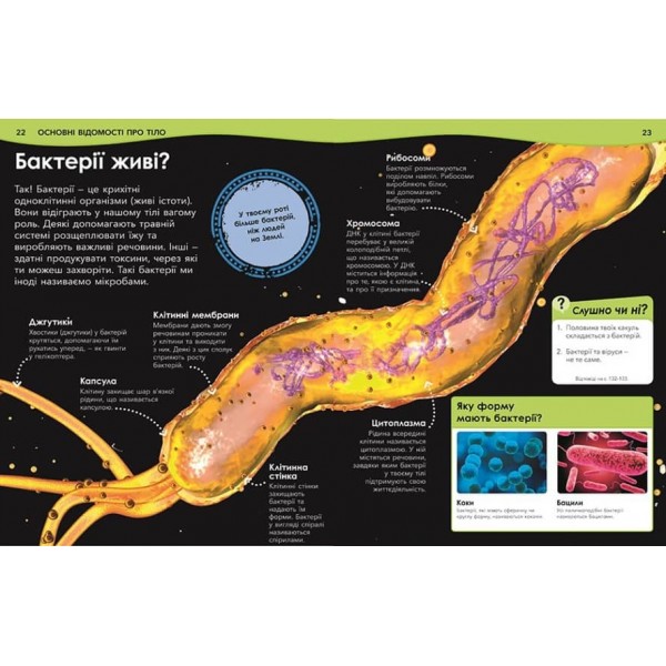 Чому кров червона? І ще 101 чому про людське тіло