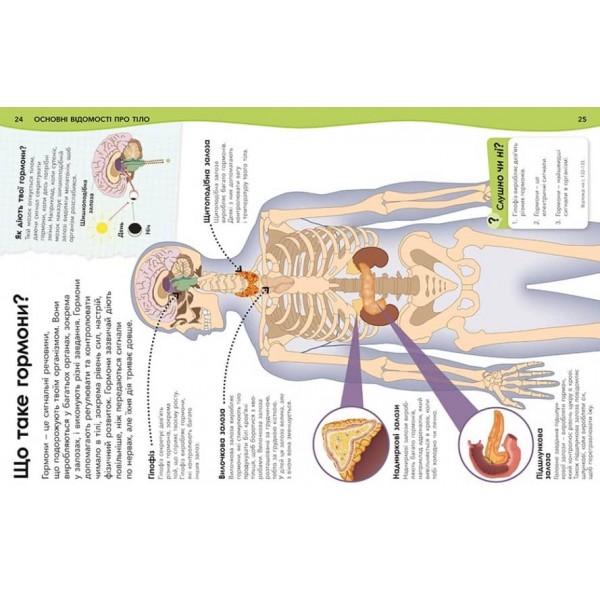 Чому кров червона? І ще 101 чому про людське тіло
