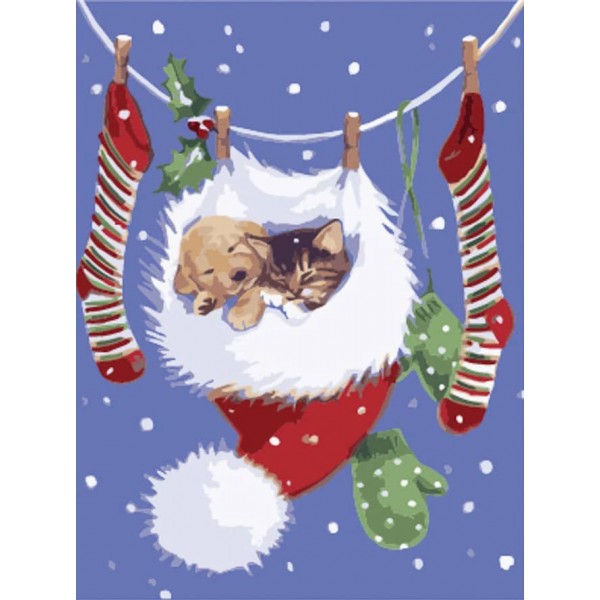 Картина за номерами Strateg ПРЕМІУМ Сон в шапочці розміром 40х30 см, SS6816