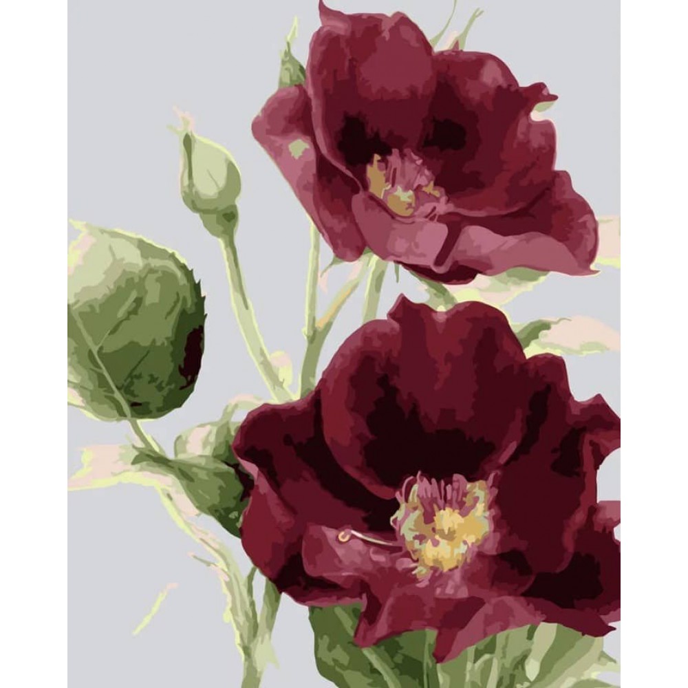 Картина за номерами Strateg ПРЕМІУМ Багрові маки з лаком розміром 50х40см, SY6034