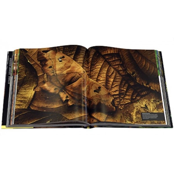 Тварини. Велика ілюстрована енциклопедія