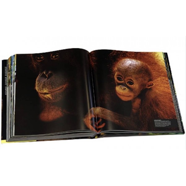 Тварини. Велика ілюстрована енциклопедія