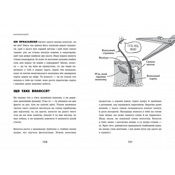 Анатомія для дітей