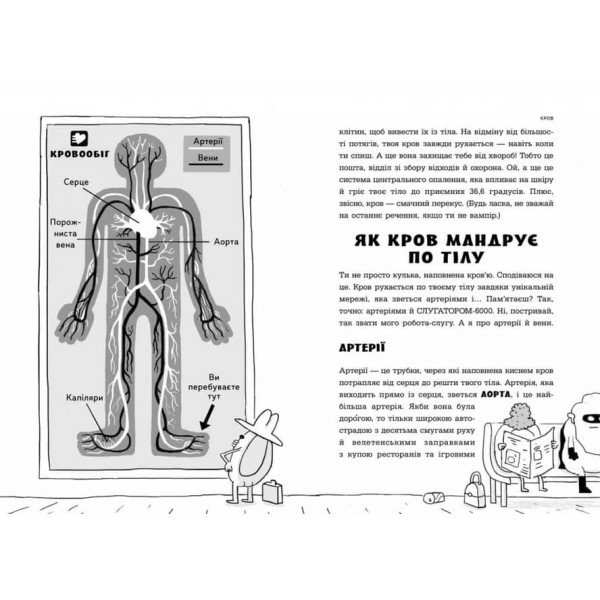 Анатомія для дітей