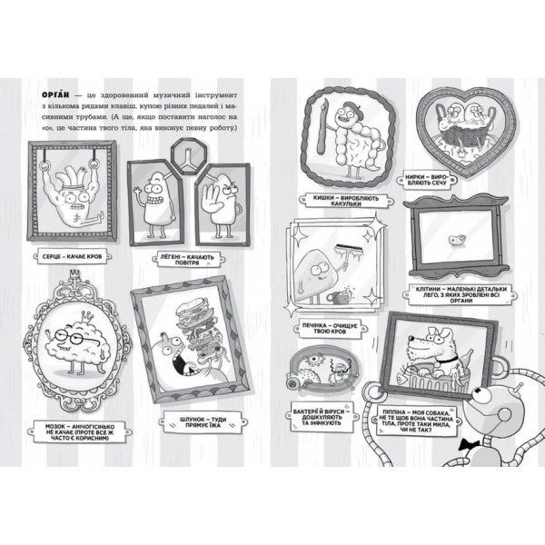 Анатомія для дітей