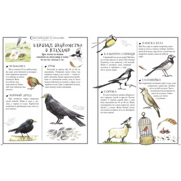 Boys’ Book. Підручник відважного мандрівника