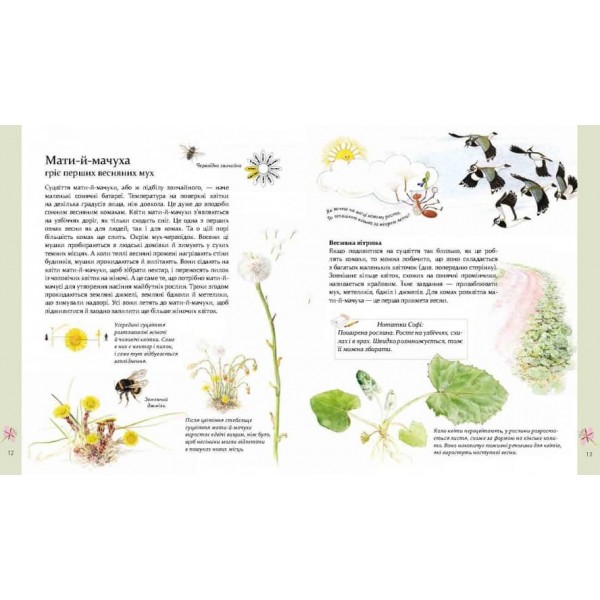 Експедиція з мурахою Софі