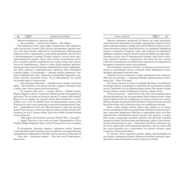 Відьмак. Книга 5. Хрещення вогнем