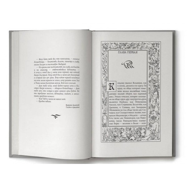 Відьмак. Книга 6. Вежа Ластівки