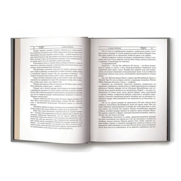 Відьмак. Книга 7. Володарка озера