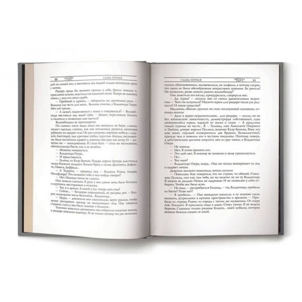 Відьмак. Книга 7. Володарка озера