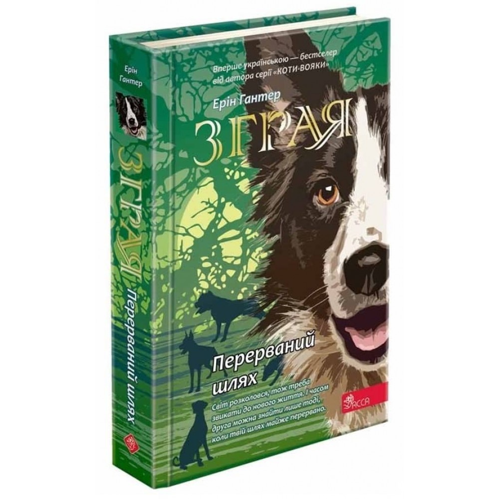 Зграя. Книга 4. Перерваний шлях