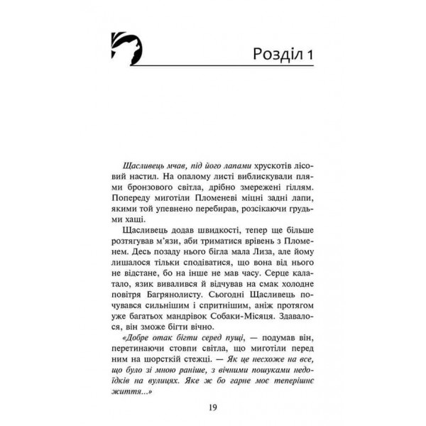Зграя. Книга 4. Перерваний шлях