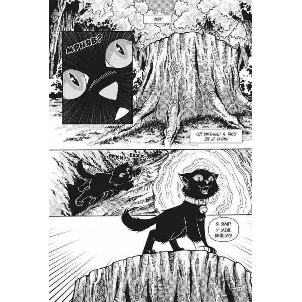 Коти-вояки. Манґа 4. Бич. Початок легенди