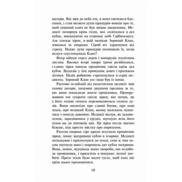 Коти-вояки. Книга 4. Здіймається буря