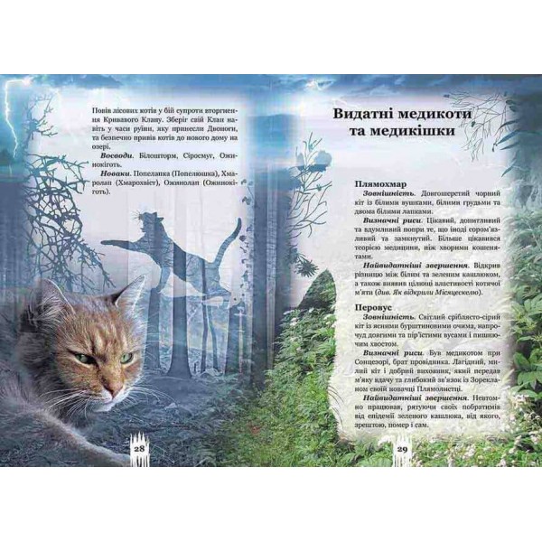 Коти-вояки. Таємниці Кланів. Путівник по серії