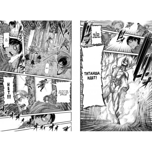 Атака на Титанів. Книга 4