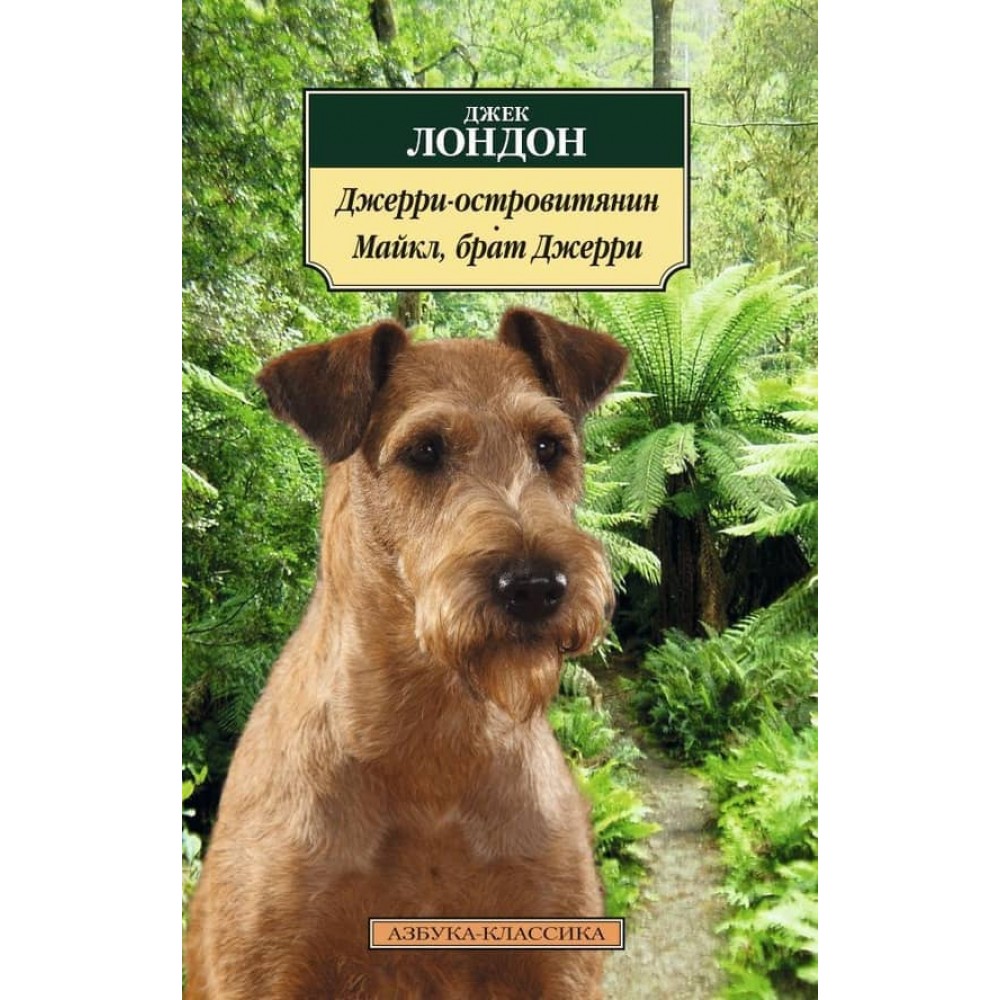 Джеррі-острів'янин. Майкл, брат Джеррі
