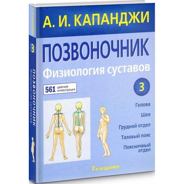 Хребет. Фізіологія суглобів