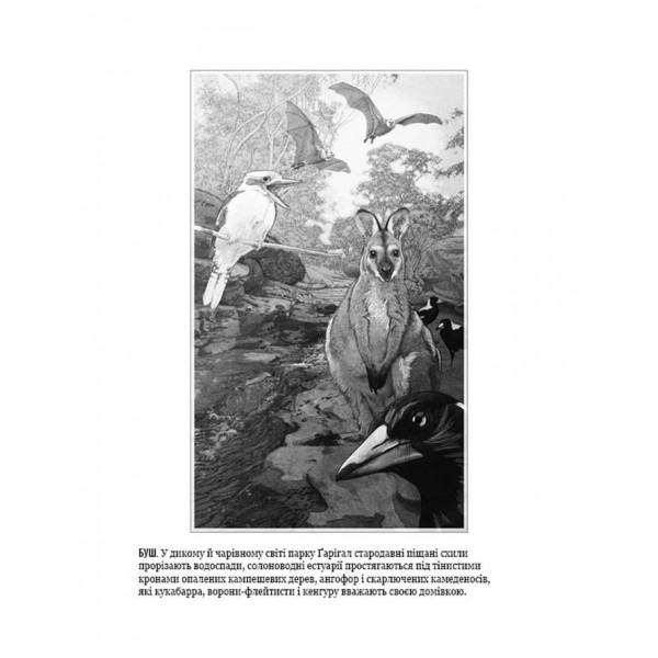 Життєвий план. Чому ми старіємо і чому не повинні цього робити