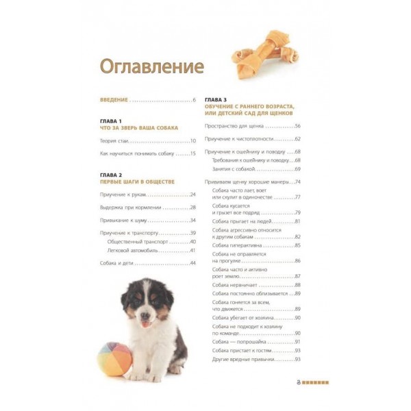 Дресирування та виховання собаки