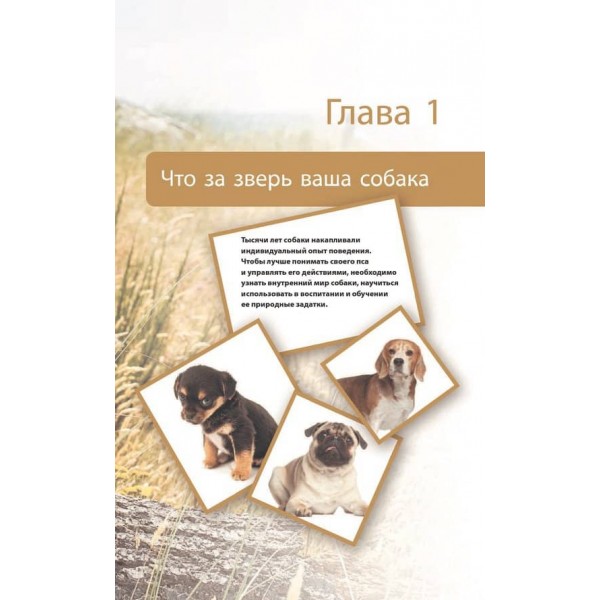 Дресирування та виховання собаки