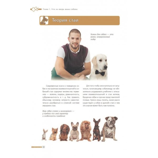 Дресирування та виховання собаки