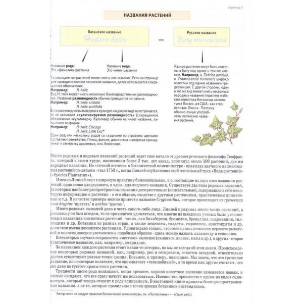 Все про кімнатні рослини. Книга 1