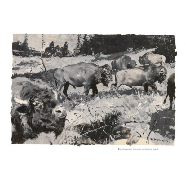 Віннету. Син вождя