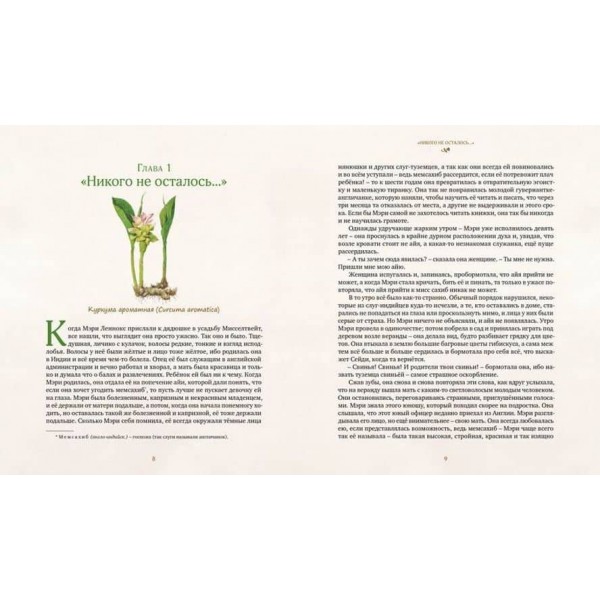 Таємничий сад