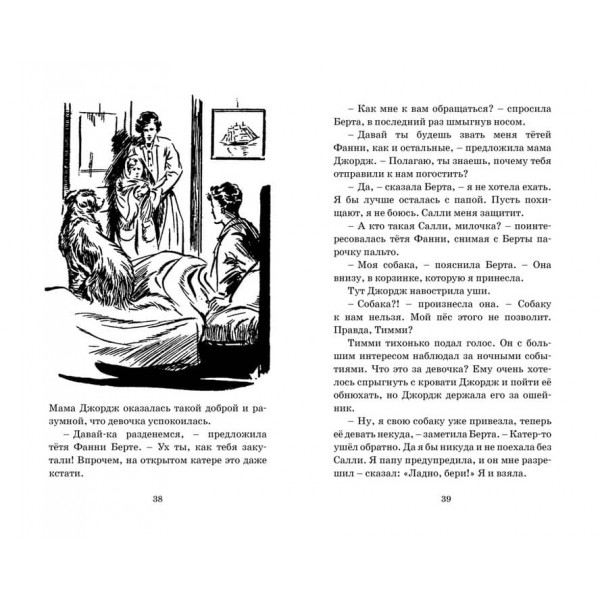 Знаменита п'ятірка. Книга 14. Таємниця сріблястого лімузина
