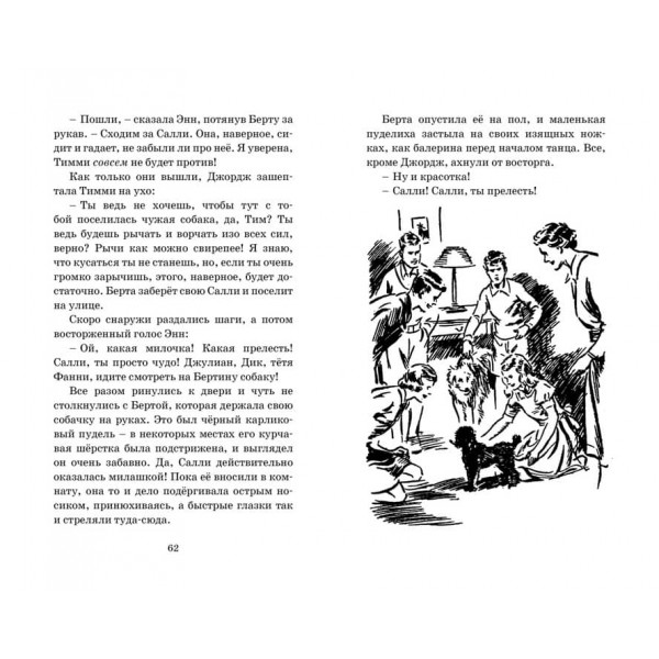 Знаменита п'ятірка. Книга 14. Таємниця сріблястого лімузина