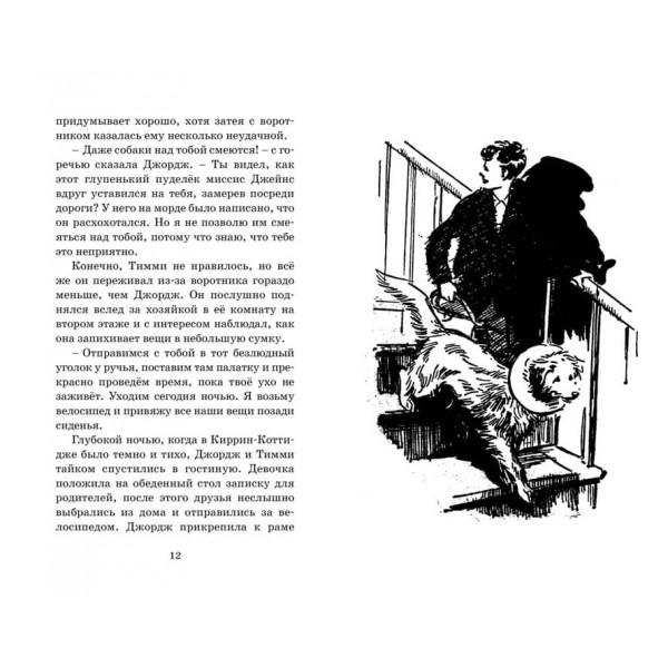 Знаменита п'ятірка. Книга 15. Таємниця римських руїн