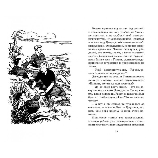 Знаменита п'ятірка. Книга 16. Зниклий літак