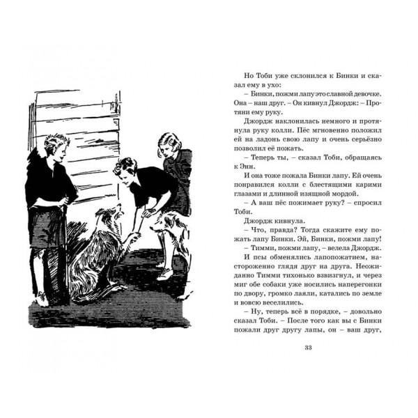 Знаменита п'ятірка. Книга 16. Зниклий літак