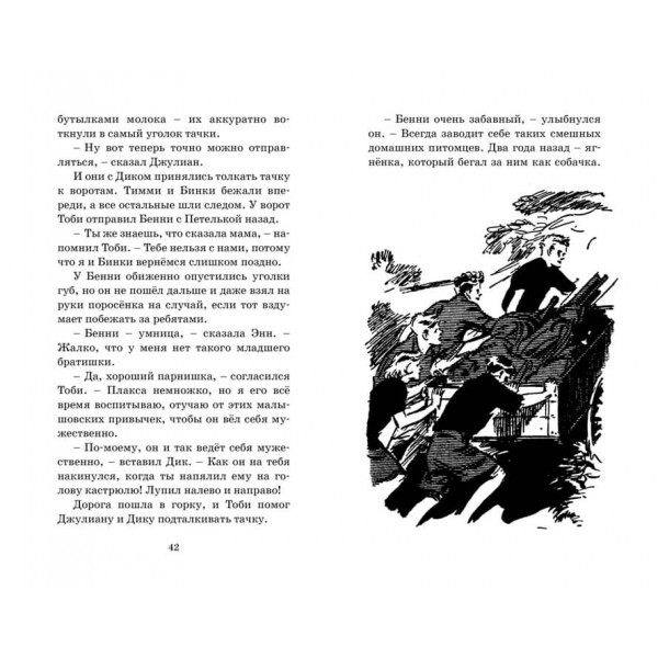 Знаменита п'ятірка. Книга 16. Зниклий літак