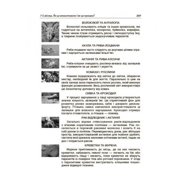 Тематичні дні у 4-му класі