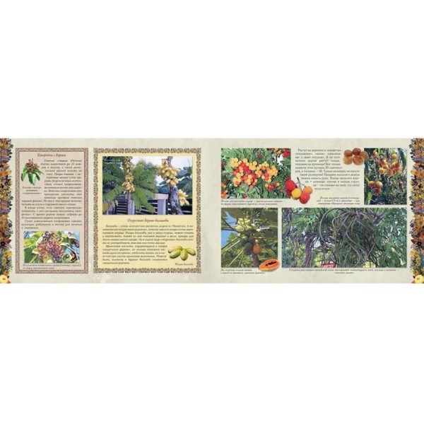 Мій перший гербарій