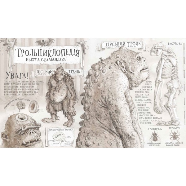 Гаррі Поттер і філософський камінь. Велике ілюстроване видання