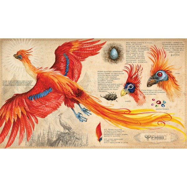 Гаррі Поттер і таємна кімната. Книга 2. Велике ілюстроване видання