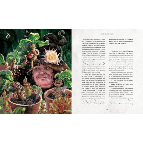 Гаррі Поттер і таємна кімната. Книга 2. Велике ілюстроване видання