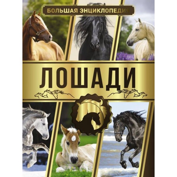 Велика енциклопедія. Коні ( російською мовою )