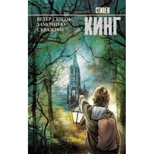 Темна вежа. Книга 4.5. Вітер крізь замкову щілину